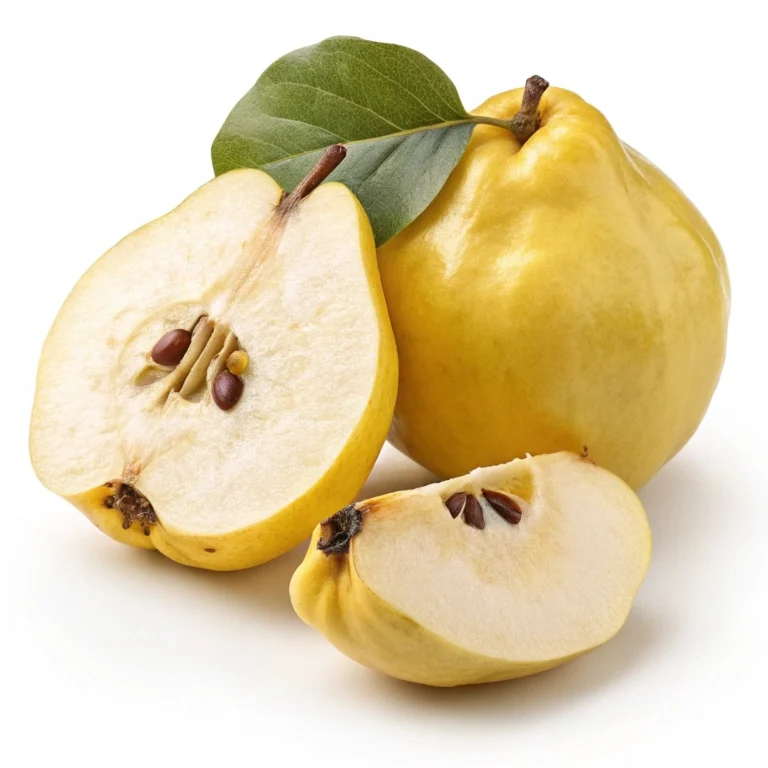 A close-up shot of a ripe quince fruit, showcasing its golden yellow color and slightly fuzzy skin. alt text: Fresh quince fruit